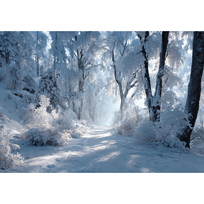 Art mural sur toile Frosted Forest Pathway, H 30 po x l 40 po