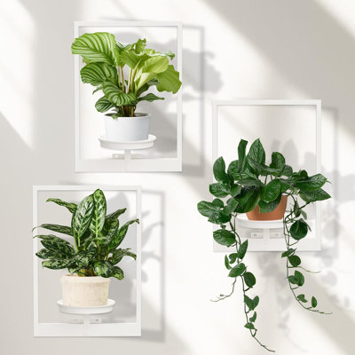 Wall Planter Set of 3, Metal Wall-Mounted Plant Stand for Indoor and Outdoor Decor, 6.2" Tray Diameter,White