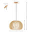 Paz Single Light Wood Dimmable Pendant-1493709133