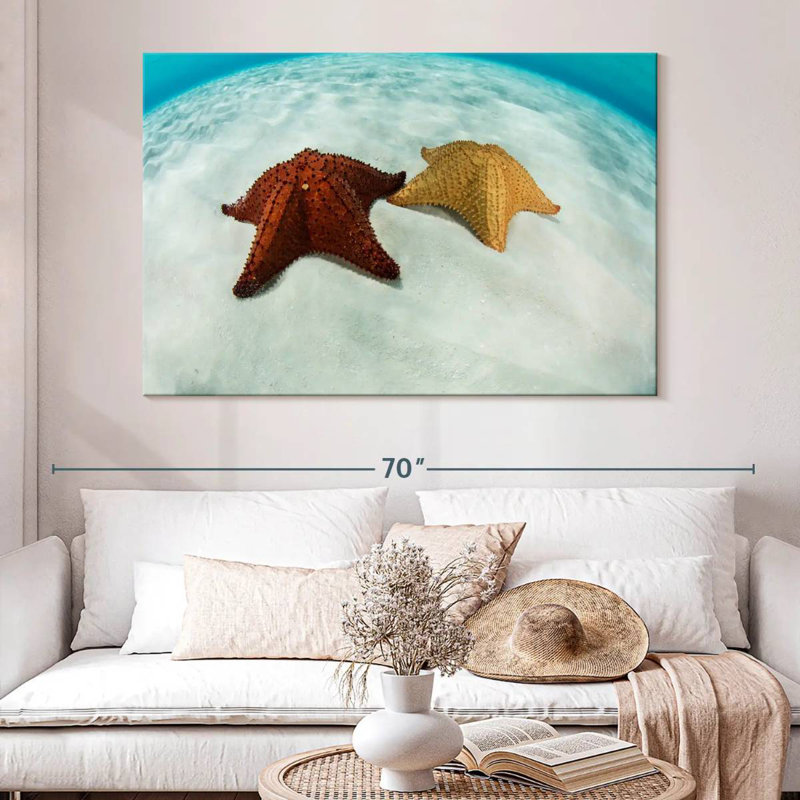 Brampt Caribbean Starfish, 34" H x 51" W
