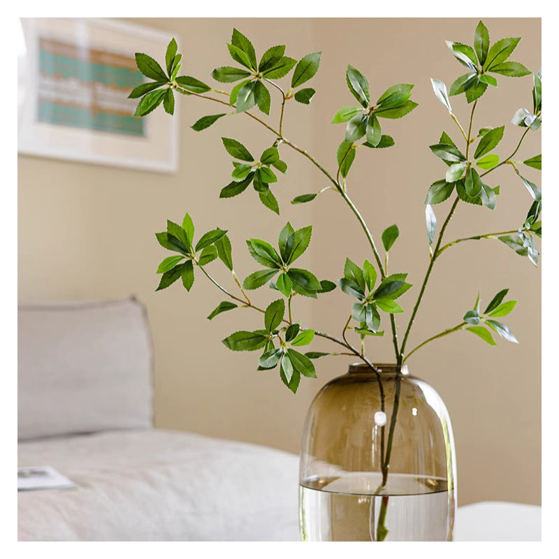 Tige de fausse branche de Pieris, 3
