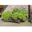 Metal Elevated Planter