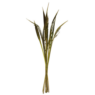 Bahia Spears Plant
