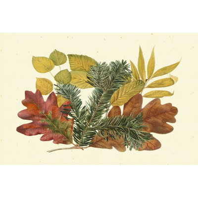 White Oak Balsam Fir & Yellow Birch by Denton - Wrapped Canvas Painting