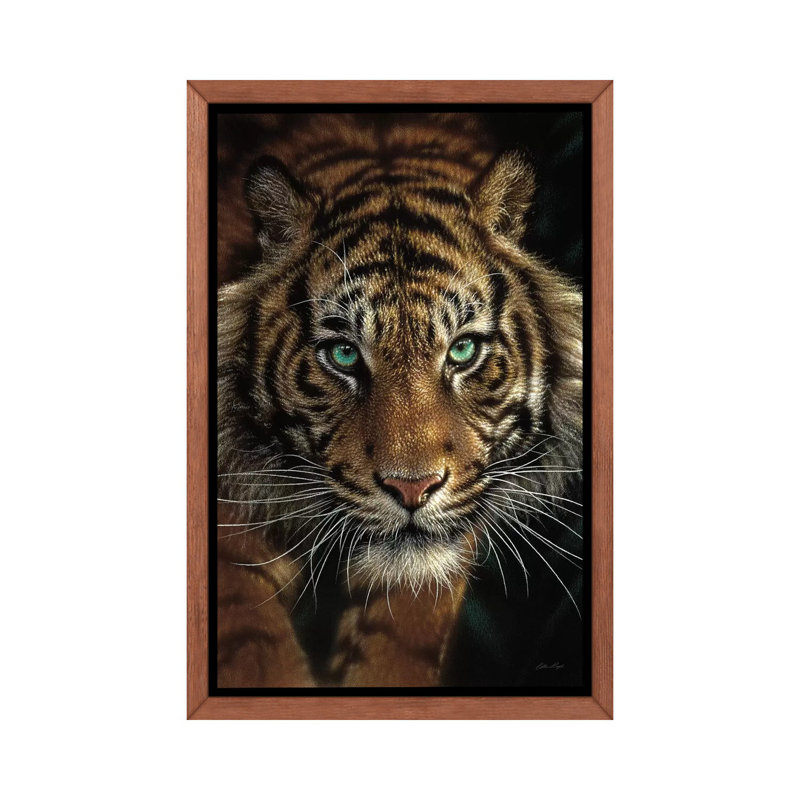 Œil du tigre par Collin Bogle Print, Toile avec cadre en bois classique, H 26 po x l 18 po x P 1,5 po