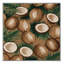  Tapis hawaïen lavable Coconuts-1165861494