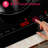 Portable Touch Control 20.5" Induction Cooktop with 2 Elements