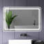 Daizsa W H Medicine Cabinet Mirror