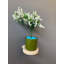 Locelso Wood Floating Shelf