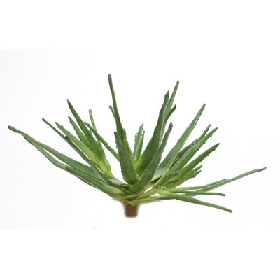 24" PLASTIC AGAVE PLANT - DARK GREEN