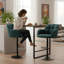 Aavin Swivel Upholstered Adjustable Height Counter Stool with Metal Frame-1151487997