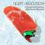Double-layer Strawberry Cat Litter Trapping Mat