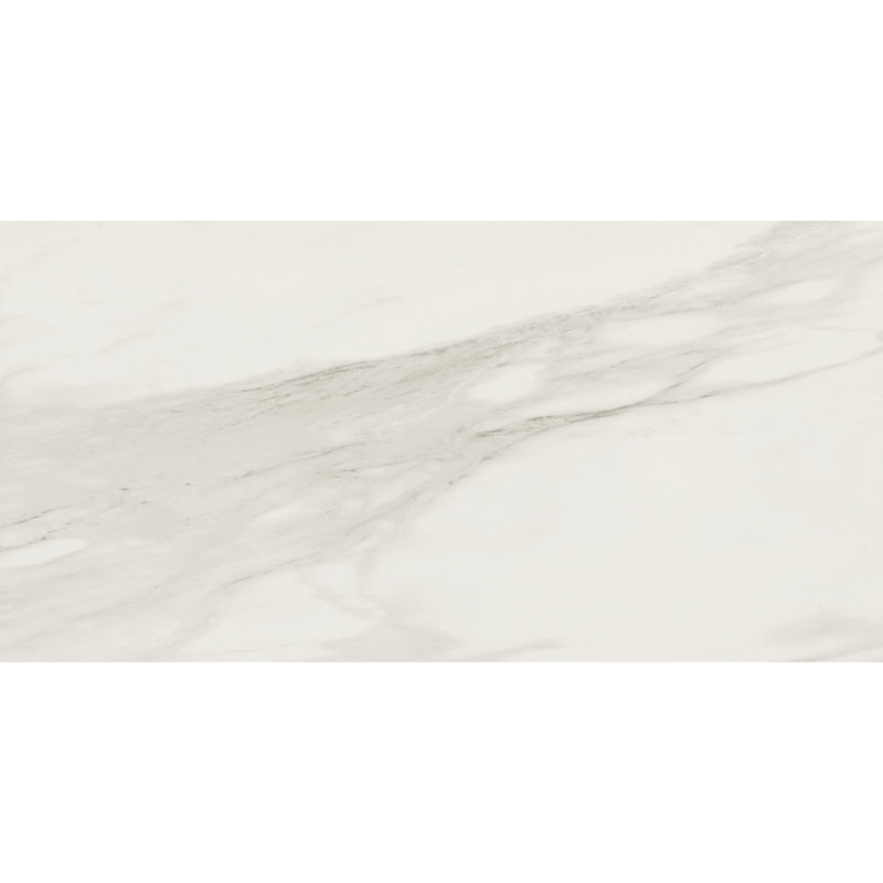 Carreau de céramique pour plancher et mur 12 po x 24 po Daltile Perpetuo (8 pièces par carton) (15,52 pieds carrés par carton)