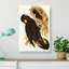 Yellow-Eared Black Cockatoos by Elizabeth Gould - Wrapped Canvas-55320113