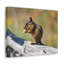 Wall Art on Canvas-1032875516