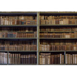 Historic Old Books in Ancient Library Wooden Bookshelf Paintable Wall Mural
