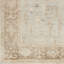Normandy Wool Oriental Area Rug in Light Gray/Seafoam/Ivory-1773423251
