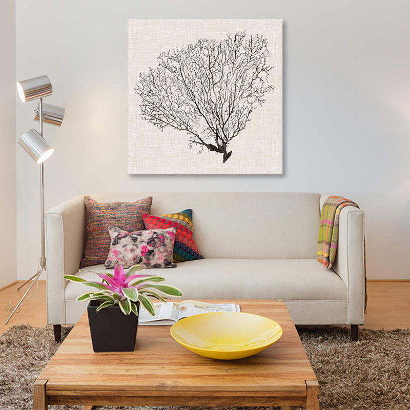« shadow sea fan iv », impression sur toile, H 26 po x l 26 po x P 1,5 po