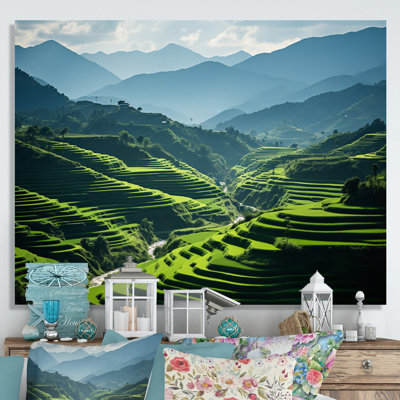 " Vietnamese Rice Terrace Field I "