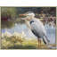 Birds-2090726213-2090726208