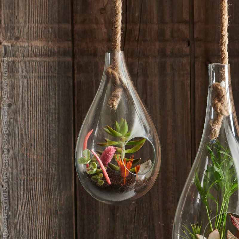 Handmade Glass Terrarium