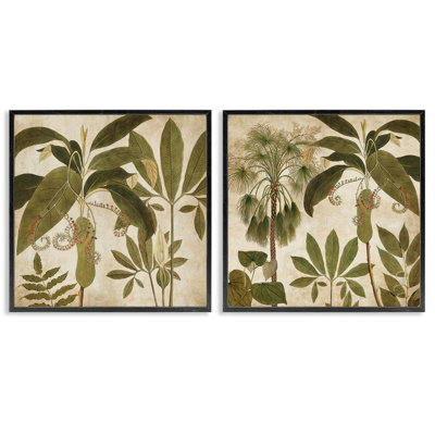  "Vintage Botanical Tropics", ensemble de 2 estampes numériques par Chris Donovan