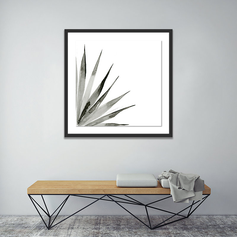 Agave II Print by Jess Engle, Black, 40" H x 40" W x 2.5" D