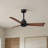 Alessandra 42'' Ceiling Fan-1421734437-1421734366