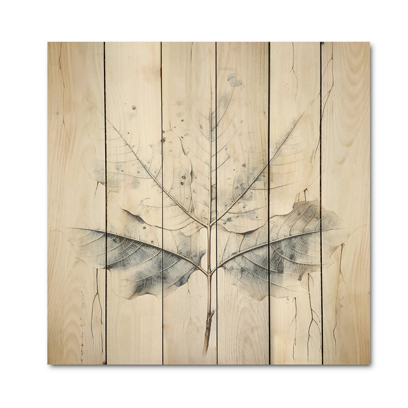 Feuille de sycomore argentée - feuilles, art mural sur bois de pin naturel, H 25 po x l 25 po