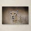 «The Cheetah», impression sur toile tendue Vidur-22075656