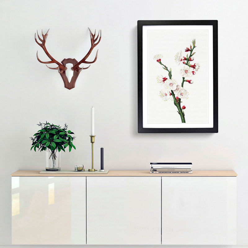 Apricot Flower 1 Piece Single Picture Frame Painting, 45cm H x 33cm W x 2cm D, Black Framed