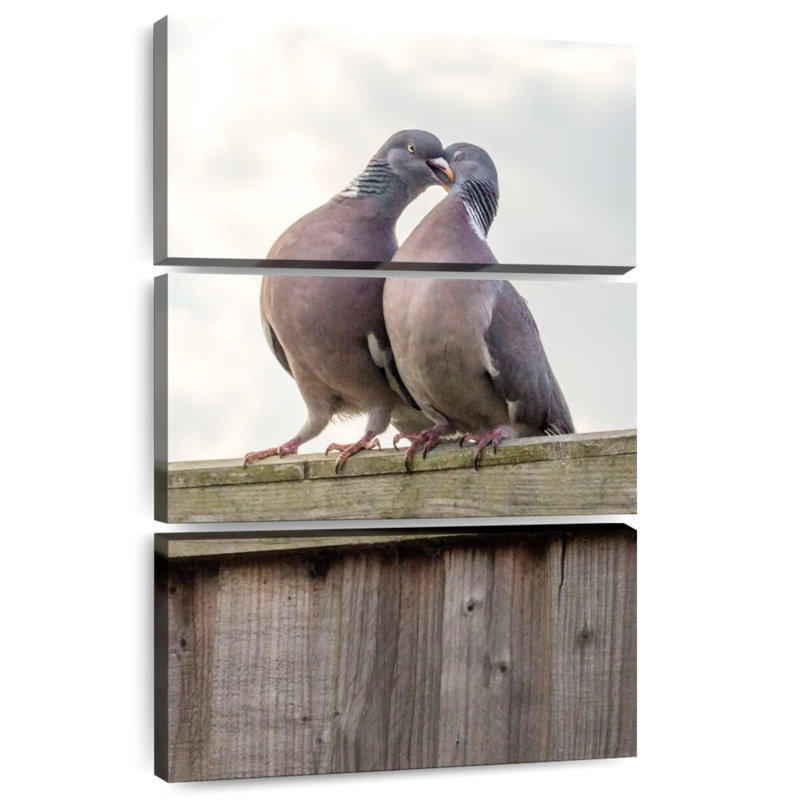 Brampt Pigeon Courtship, 65" H x 42" W