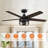 Rippy 52'' Ceiling Fan with Light Kit
