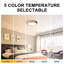 Beezie Acrylic LED Flush Mount