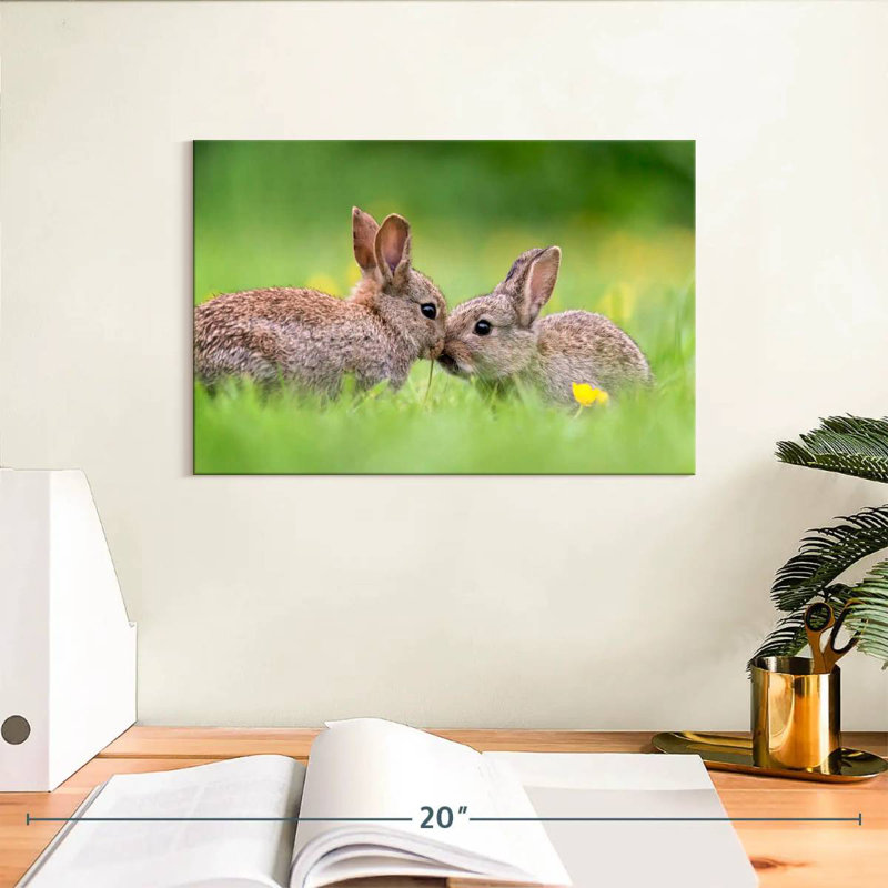Embrasser des lapins, H 8 po x l 12 po