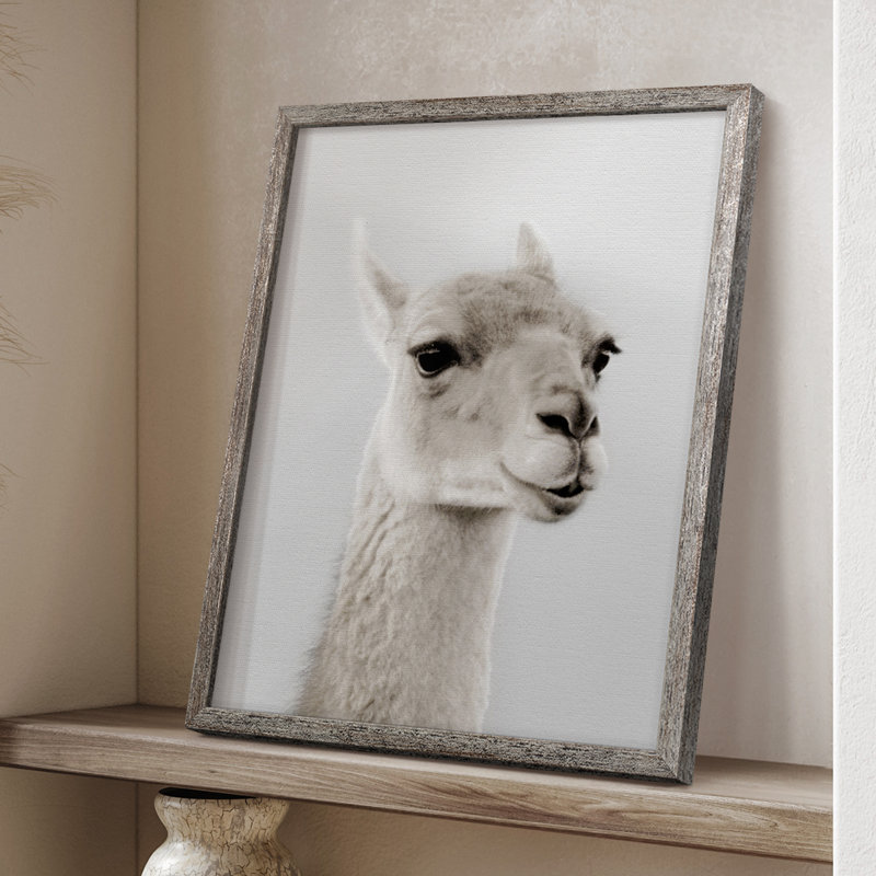 Reproduction encadrée de lama doux - bois massif 48158, H 11 po x l 9 po