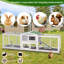 Denice petit animal
