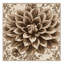 Tapis beige traditionnel lavable à la machine Paesyn Dahlia-851068718