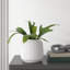 Galilee Terracotta Cachepot-73484266