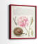 Hoefnagel Tropical Specples II - reproduction encadrée de qualité supérieure - prête à être accrochée - aucun clou requis - aucun clou requis-1146195088-1146195094