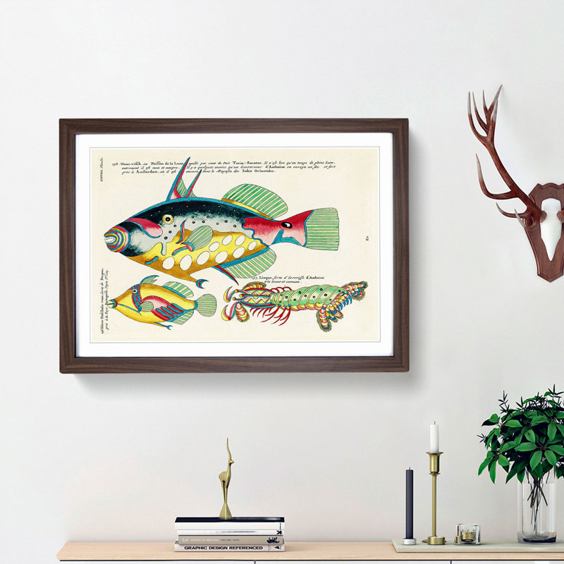 East Indies Fish Illustrations XXVIII by Louis Renard - Picture Frame Graphic Art Print, 36cm H x 48cm W x 2cm D