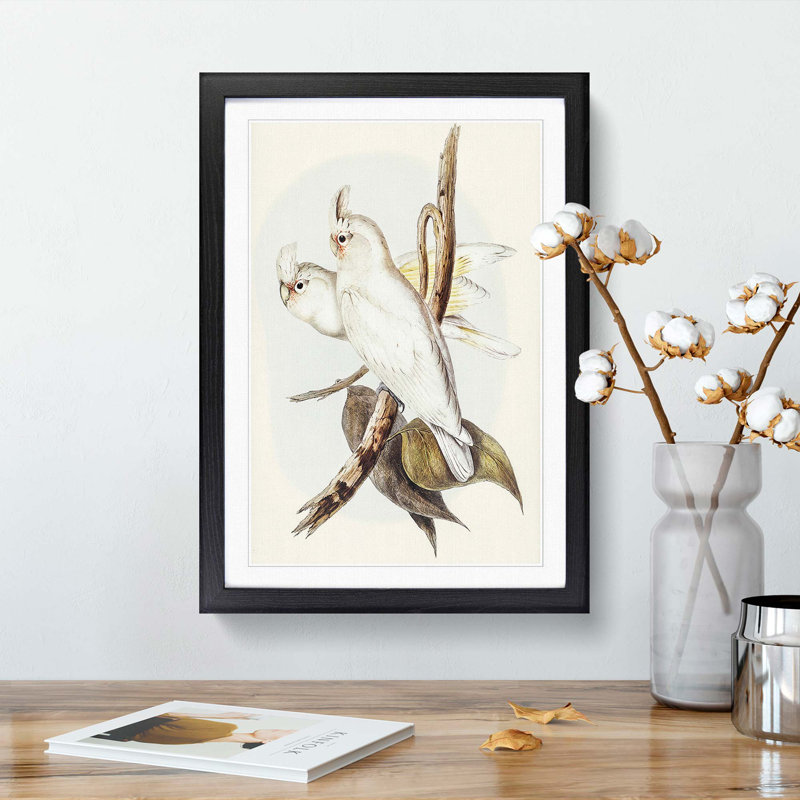 Blood-Stained Cockatoos by Elizabeth Gould - Picture Frame Art Print, 36cm H x 27cm W x 2cm D, Black Framed