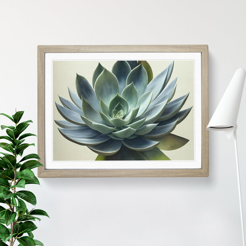 Watercolour Succulent Plant Vol.4 - Single Picture Frame Print, 25cm H x 34cm W, Light Grey/Brown