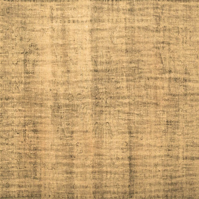Jessica-Mai Oriental Indoor Rug