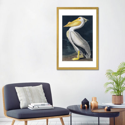 Pelican