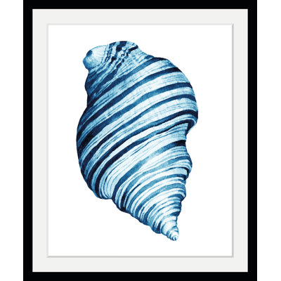 Shell - Single Picture Frame Print
