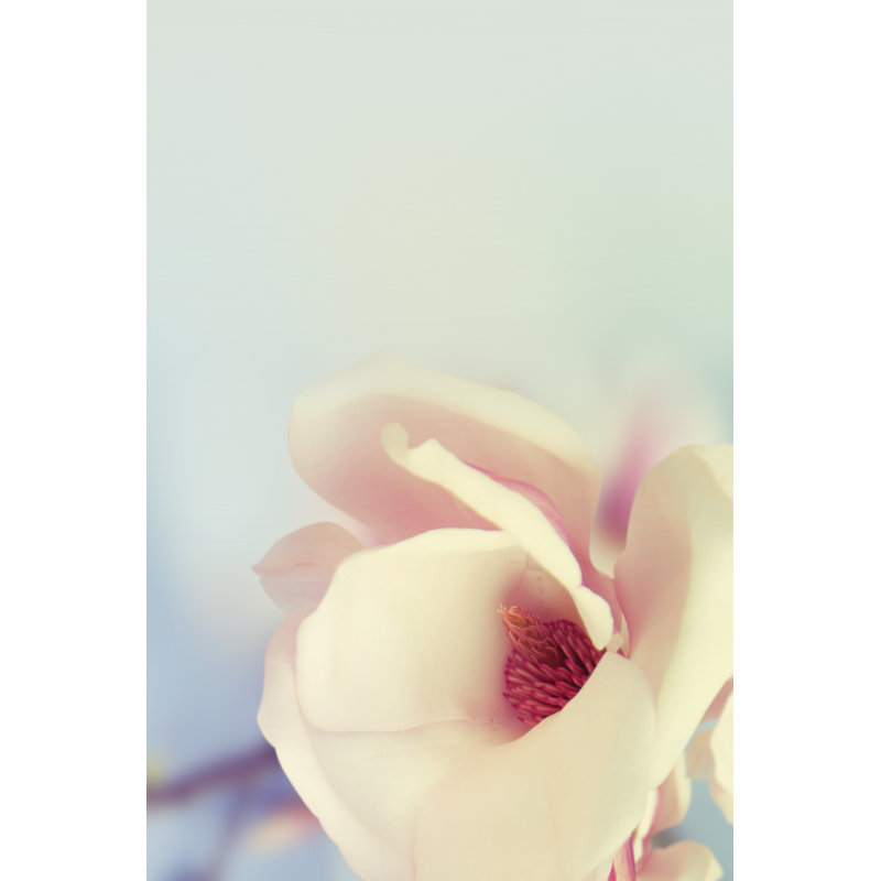 Magnifique magnolia, H 18 po x l 12 po