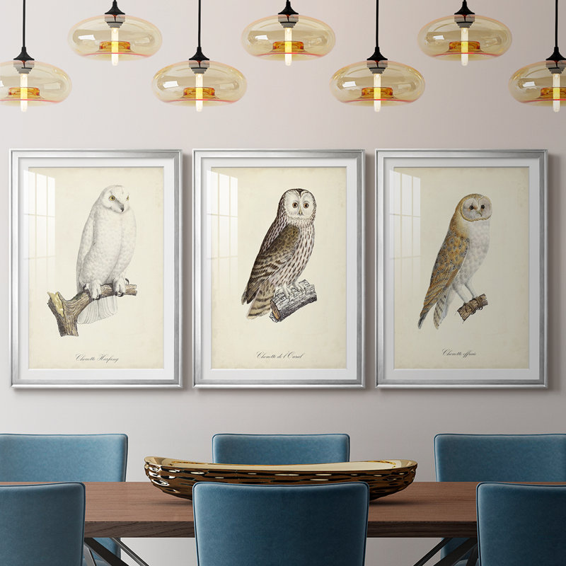 French Owls IV - reproduction sur mesure encadrée de qualité supérieure - 3 pièces, Argent argent, H 27 po x l 39 po