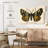 Brampt Natures Butterfly V-108064893