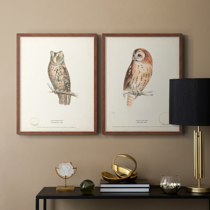 Scops Eared Owl - reproduction encadrée de qualité supérieure - prête à être accrochée - aucun clou requis - aucun clou requis